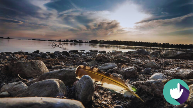Blog featured image photo on the beach within the protected Second Marsh area in Oshawa; a feather in the foreground